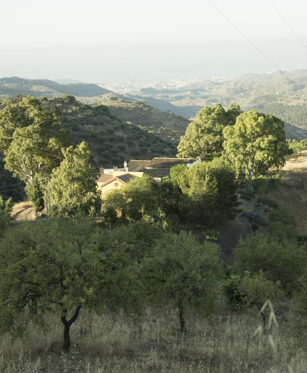 Rural Montes Málaga: Lagar Don Sancho Quarto foto